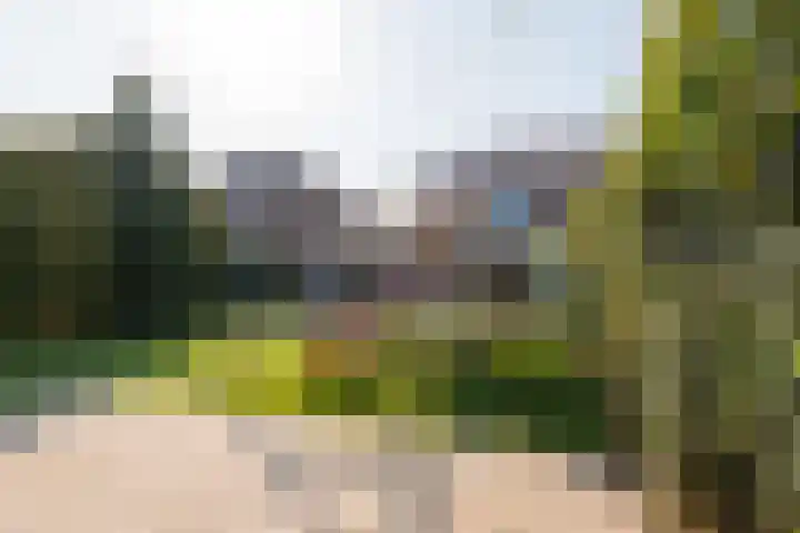 Marifoon 9 Almere thumbnail 53