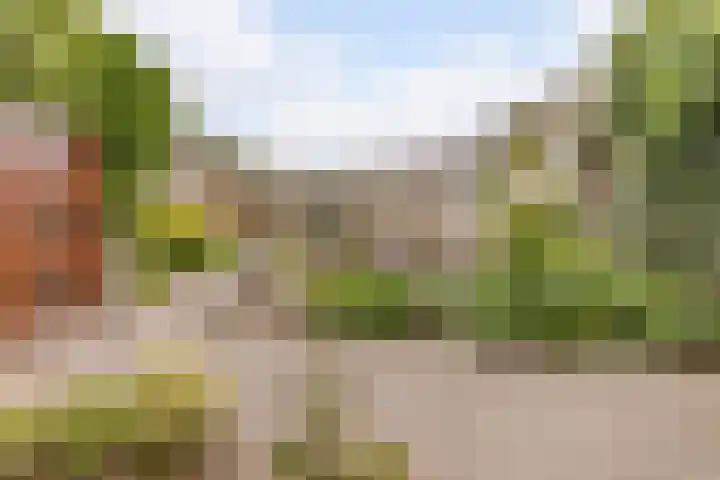 Foto van Marije Collast