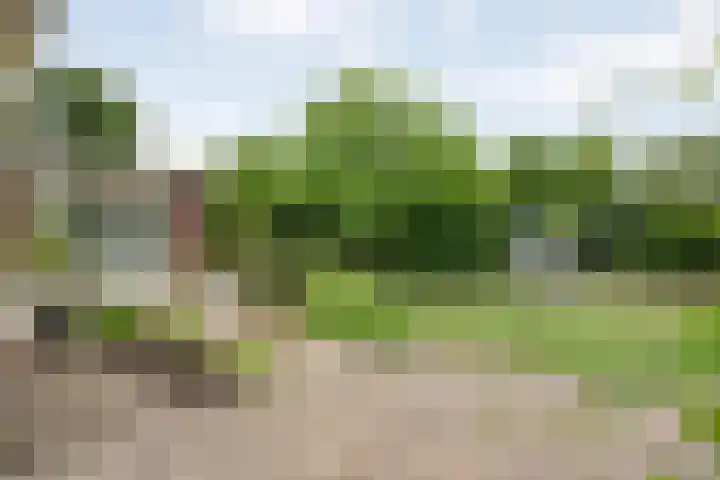 Marijenkampen 10 Marijenkampen thumbnail 41