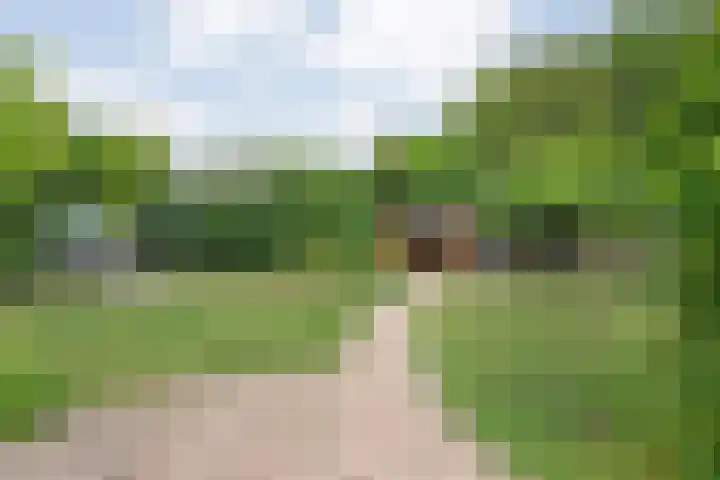 Marijenkampen 10 Marijenkampen thumbnail 43