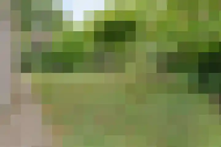 Marijenkampen 10 Marijenkampen thumbnail 48