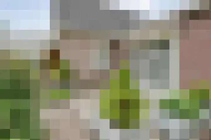Marijenkampen 10 Marijenkampen thumbnail 49