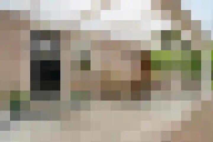 Marijenkampen 10 Marijenkampen thumbnail 5
