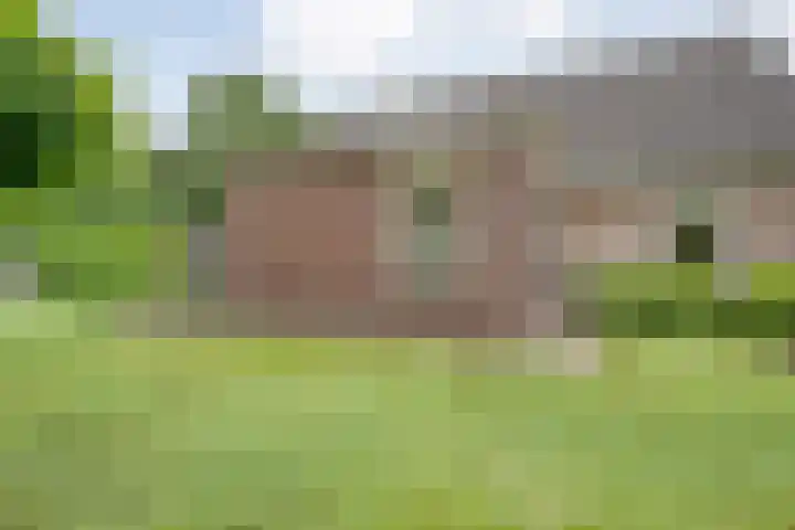 Marijenkampen 10 Marijenkampen thumbnail 50