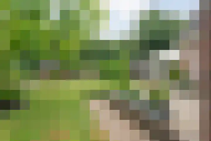 Marijenkampen 10 Marijenkampen thumbnail 51