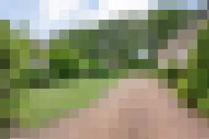 Marijenkampen 10 Marijenkampen thumbnail 60