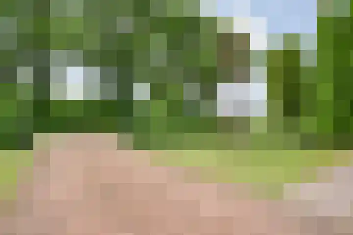 Marijenkampen 10 Marijenkampen thumbnail 61