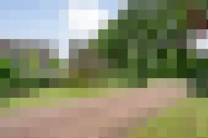 Marijenkampen 10 Marijenkampen thumbnail 62
