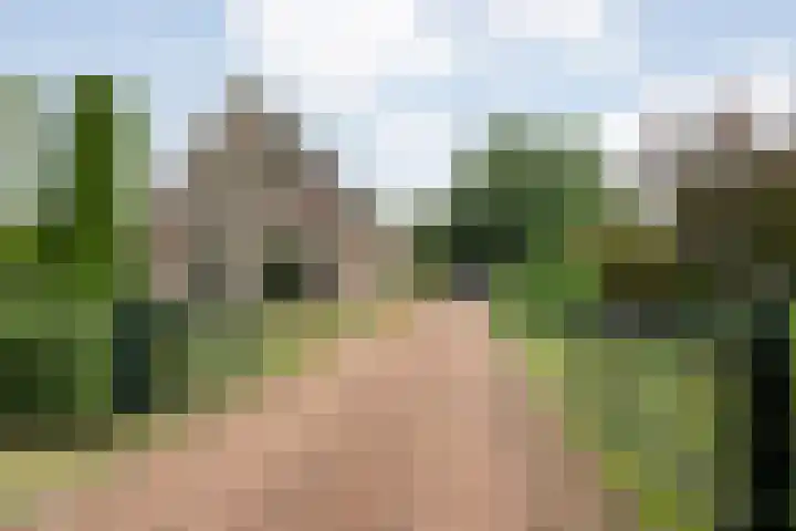 Marijenkampen 10 Marijenkampen thumbnail 63