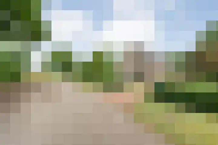 Marijenkampen 10 Marijenkampen thumbnail 64