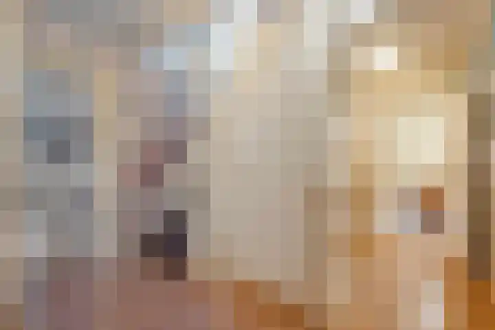 Marijenkampen 10 Marijenkampen thumbnail 7