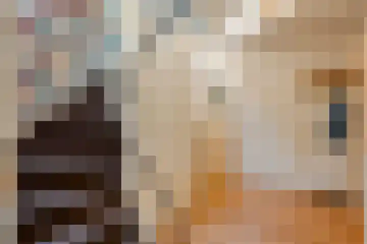 Marijenkampen 10 Marijenkampen thumbnail 8