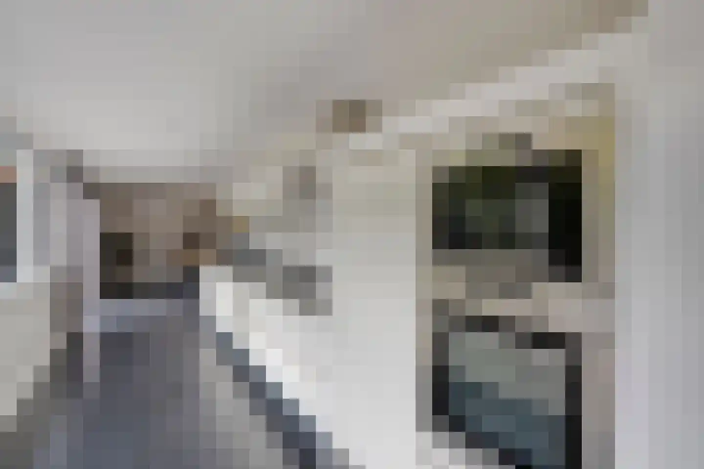 Marijkelaan 1 Roermond thumbnail 11