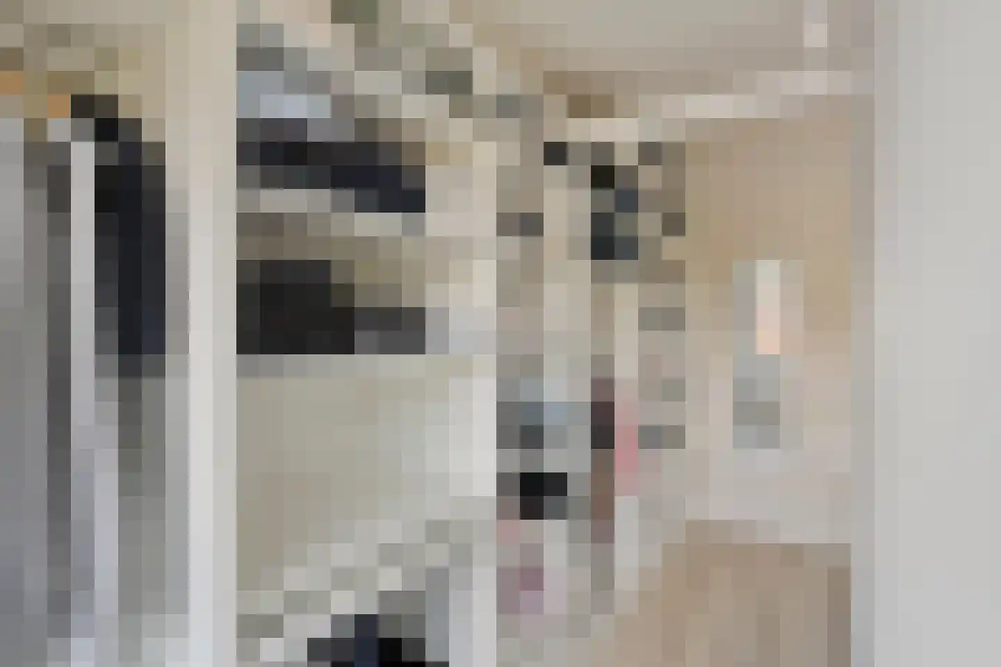 Marijkelaan 1 Roermond thumbnail 26