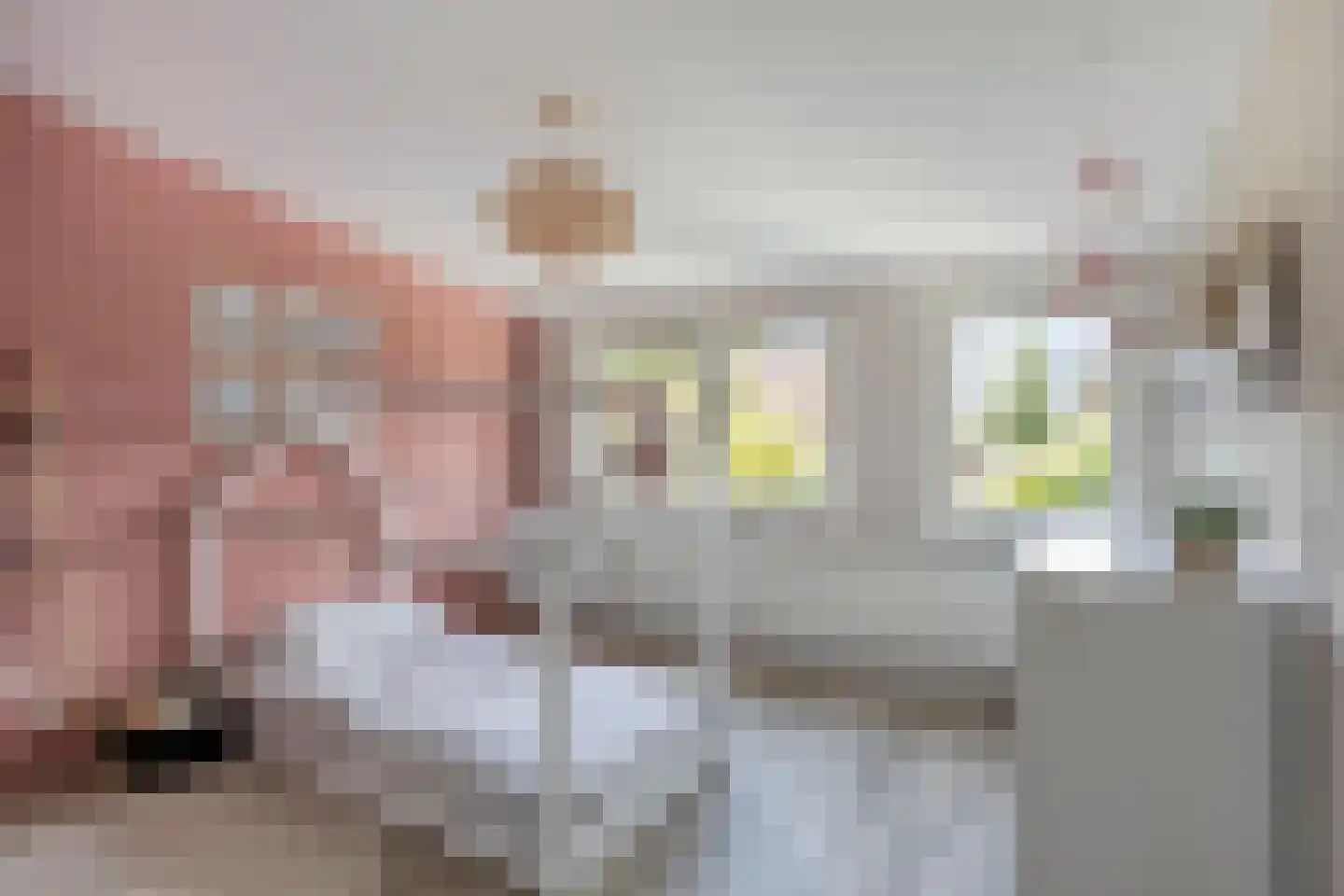 Marijkelaan 1 Roermond thumbnail 28