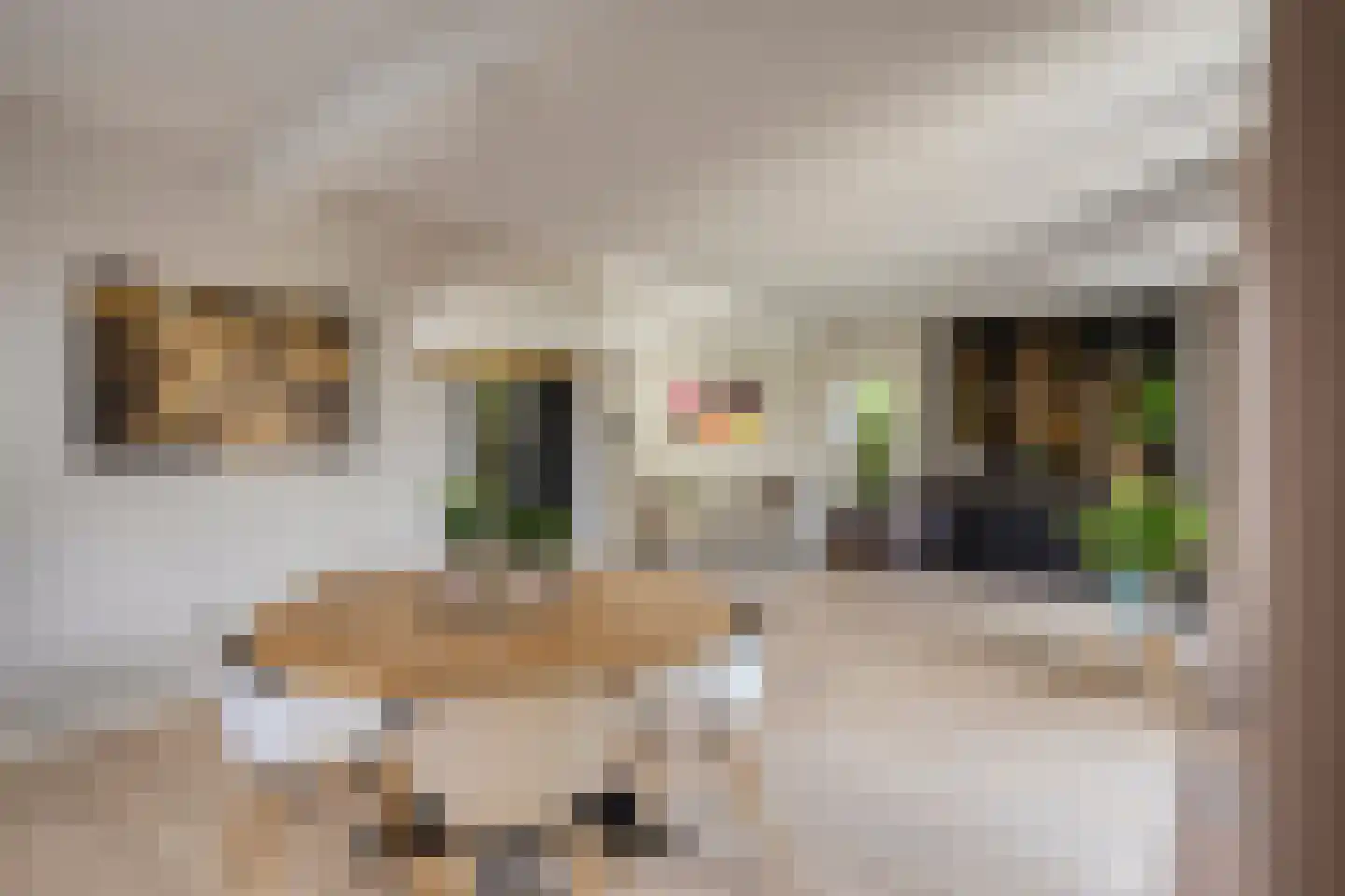 Marijkelaan 1 Roermond thumbnail 5