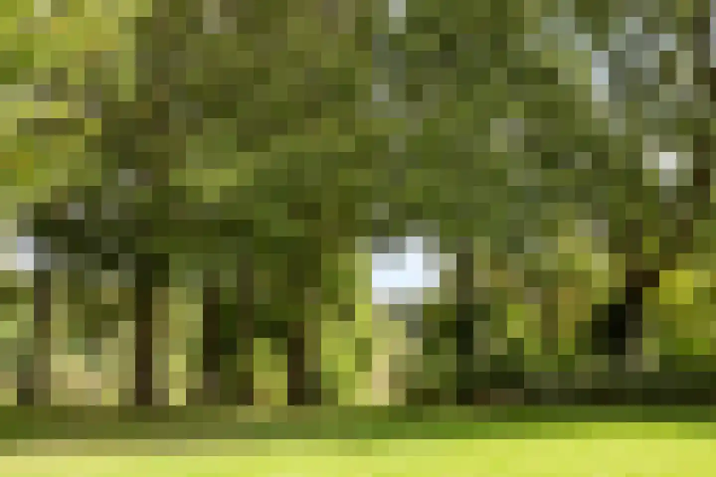Marijkelaan 1 Roermond thumbnail 53