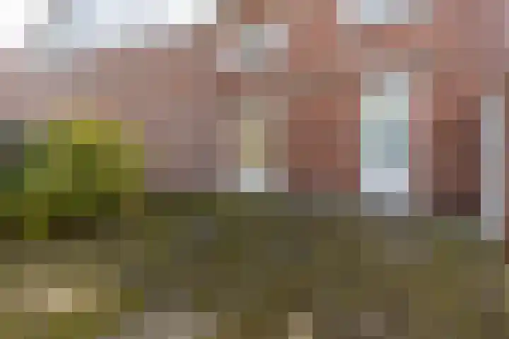 Marijkelaan 14 Sittard thumbnail 22