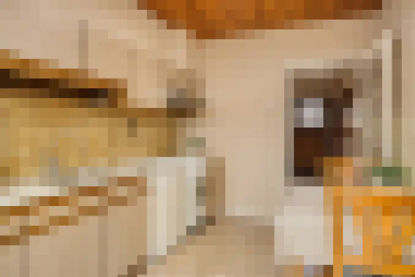 Marijkelaan 17 Roermond thumbnail 12