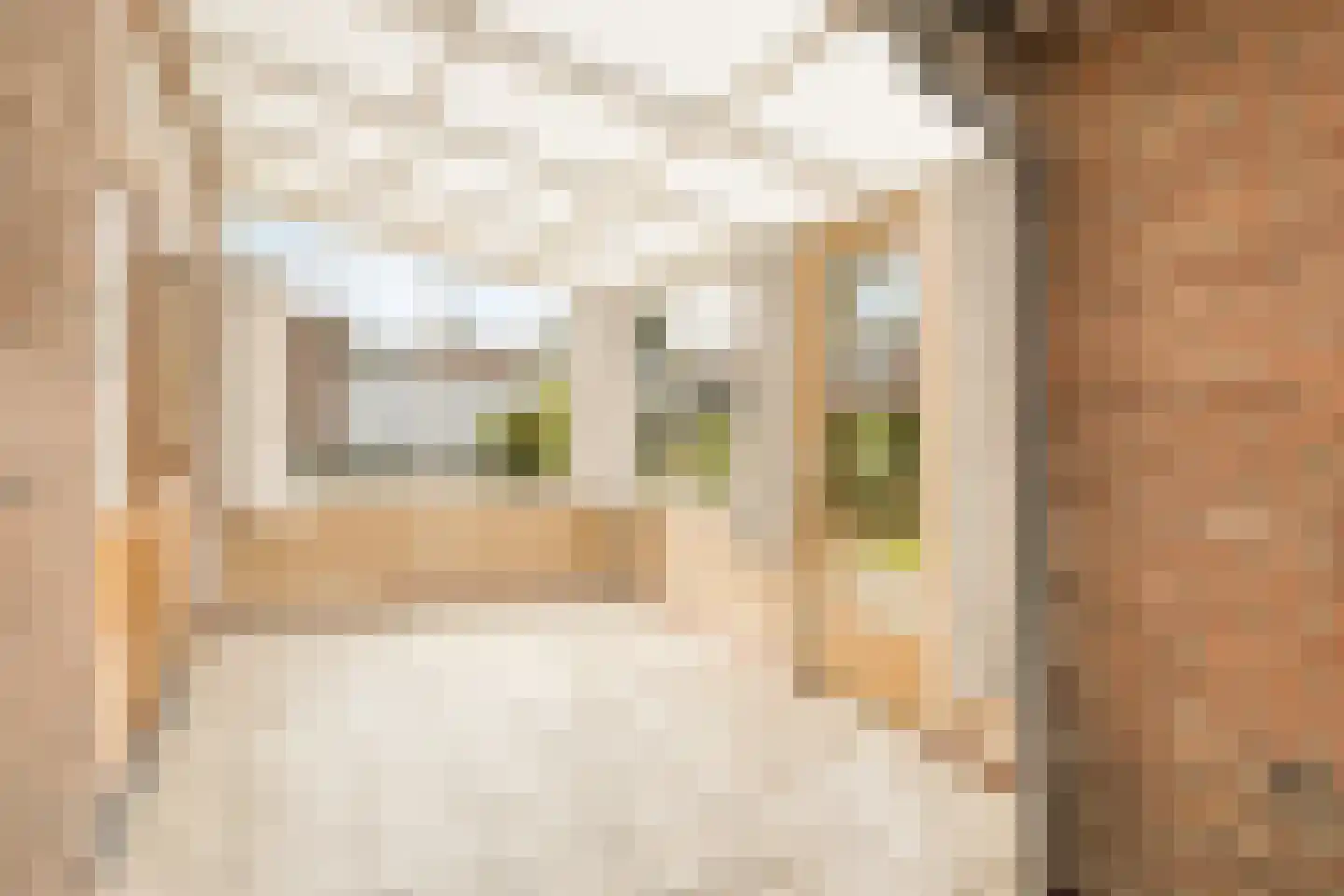 Marijkelaan 17 Roermond thumbnail 14