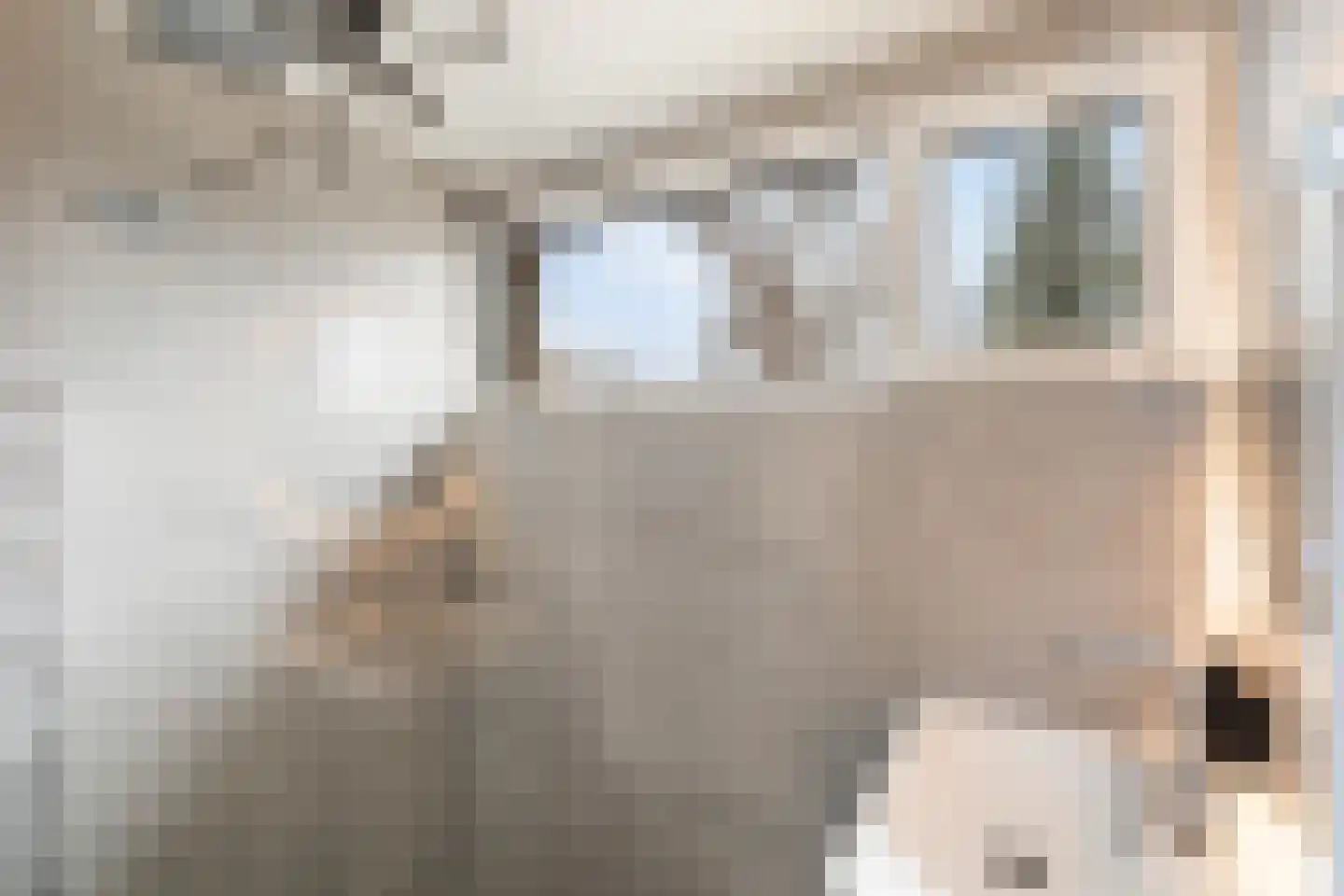 Marijkelaan 22 Nieuwkoop thumbnail 46