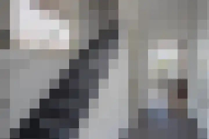 Marijkelaan 24 Urmond thumbnail 12