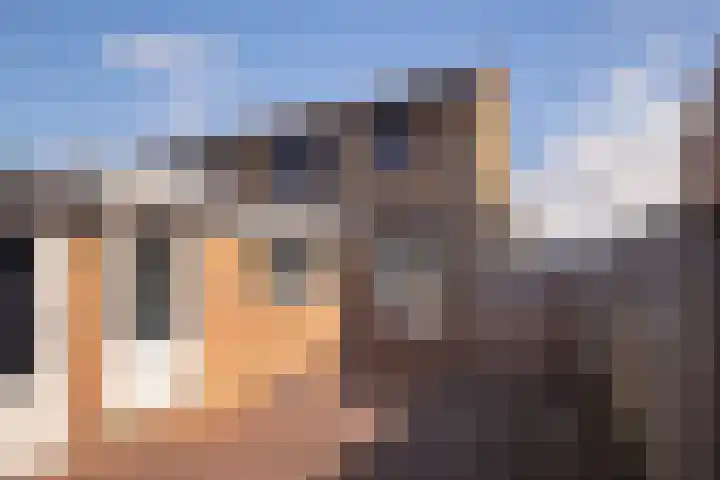 Marijkelaan 24 Urmond thumbnail 17