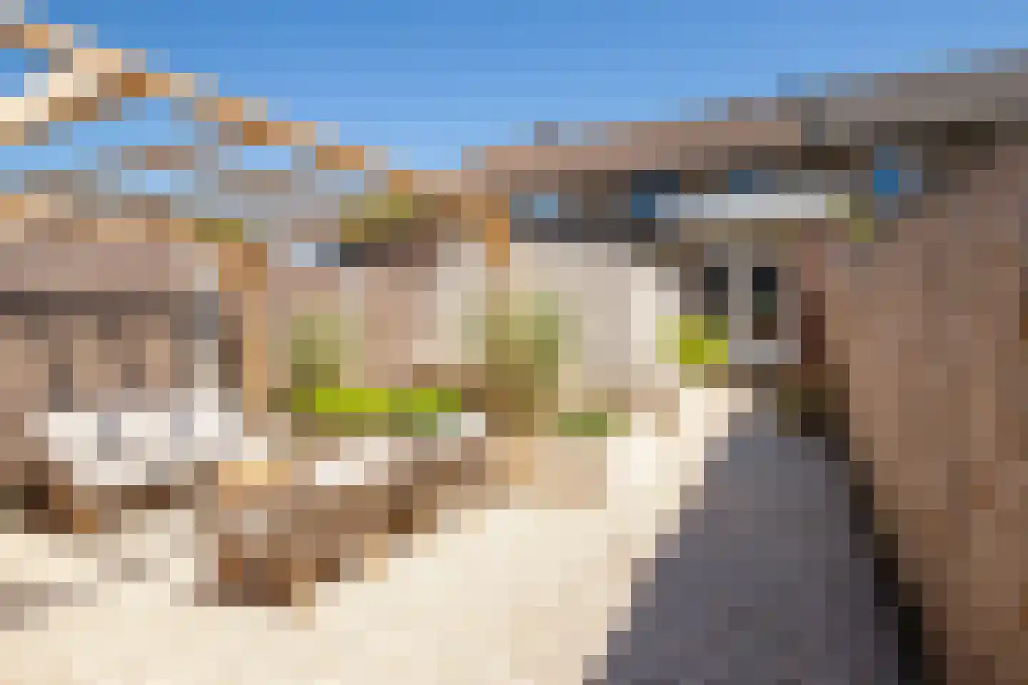 Marijkelaan 26 Urmond thumbnail 14