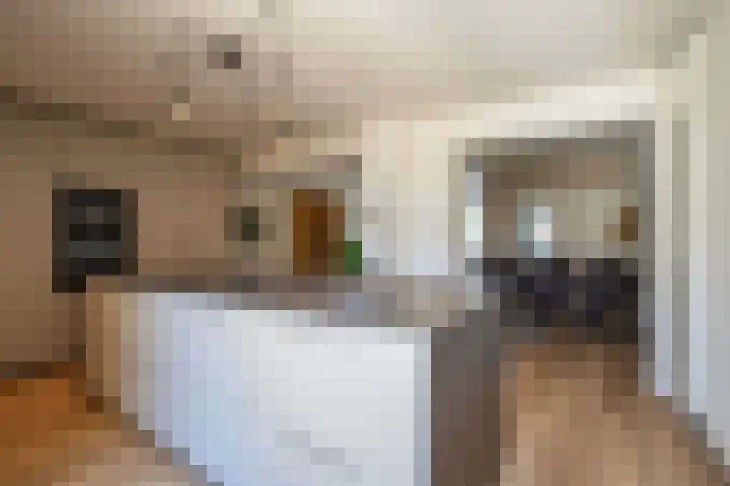 Marijkelaan 26 Urmond thumbnail 6