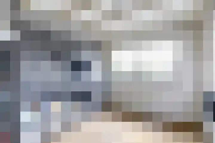 Marijkelaan 3 A Yerseke thumbnail 14