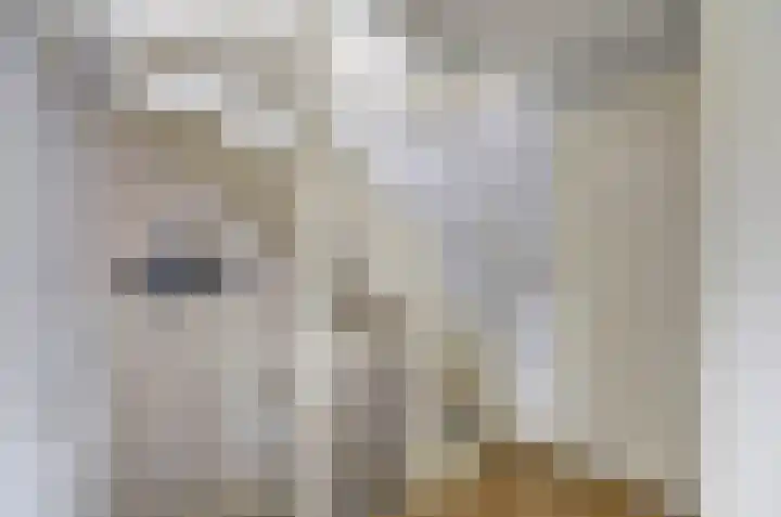 Marijkelaan 3 A Yerseke thumbnail 15