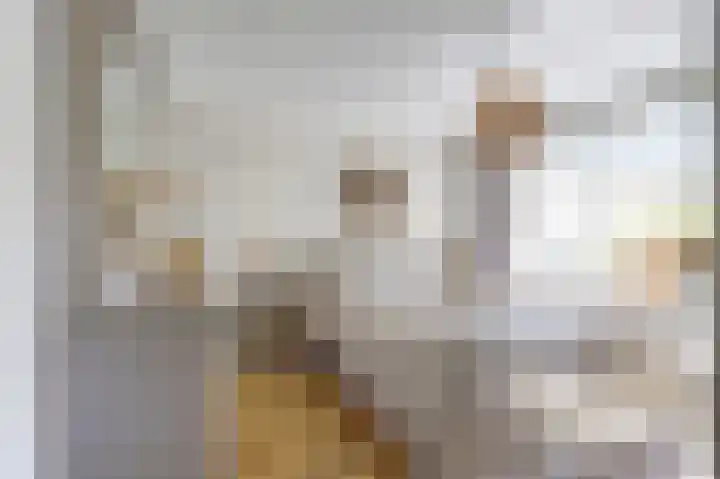 Marijkelaan 3 A Yerseke thumbnail 16