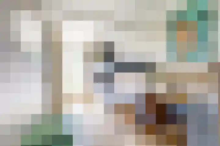 Marijkelaan 3 A Yerseke thumbnail 19