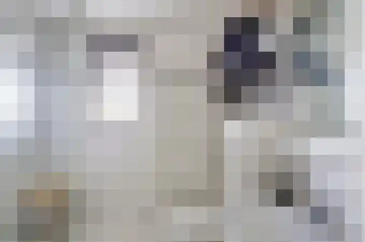 Marijkelaan 3 A Yerseke thumbnail 22