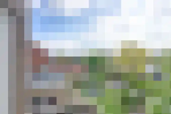 Marijkelaan 3 A Yerseke thumbnail 28