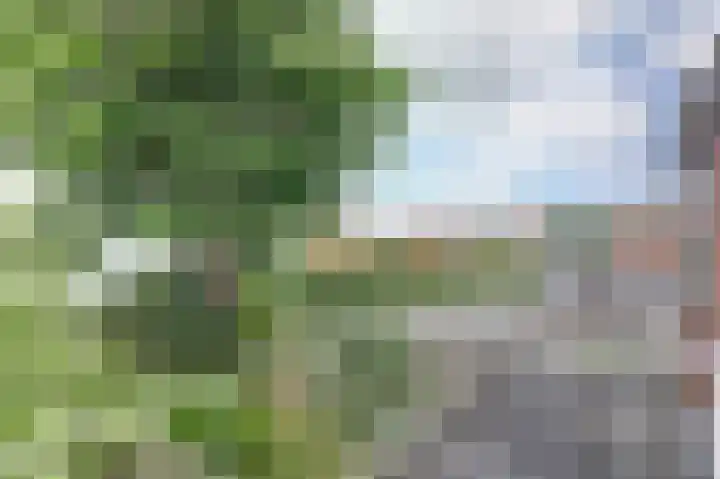 Marijkelaan 3 A Yerseke thumbnail 29