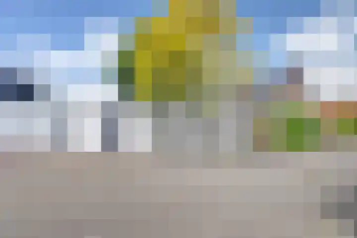 Marijkelaan 3 A Yerseke thumbnail 30