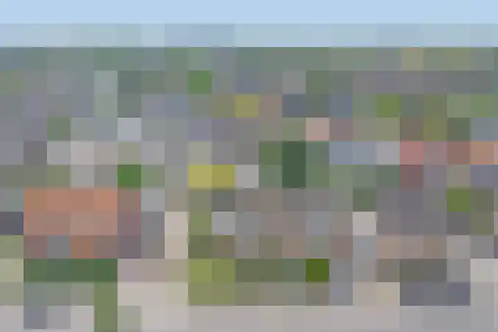 Marijkelaan 3 A Yerseke thumbnail 36
