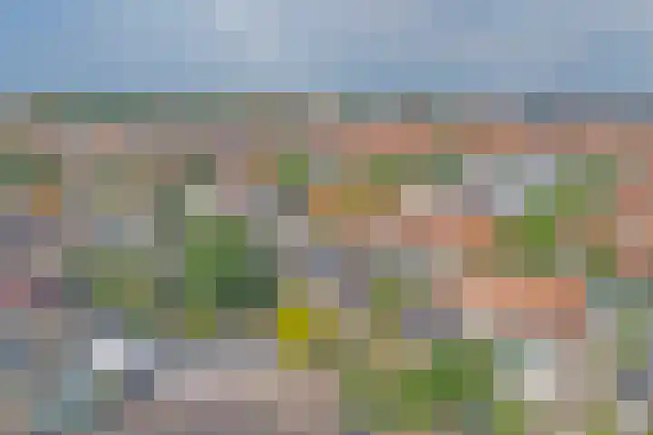 Marijkelaan 3 A Yerseke thumbnail 37