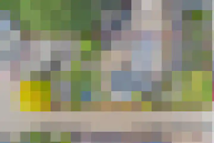 Marijkelaan 3 A Yerseke thumbnail 38