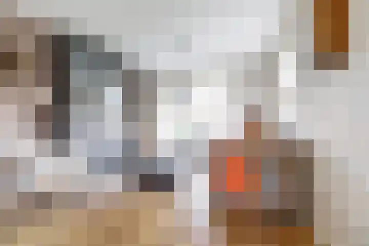Marijkelaan 3 A Yerseke thumbnail 4