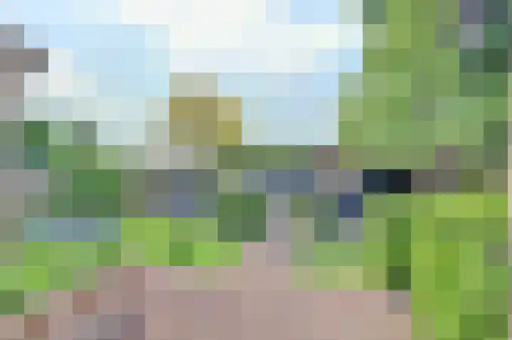 Marijkelaan 3 A Yerseke thumbnail 41