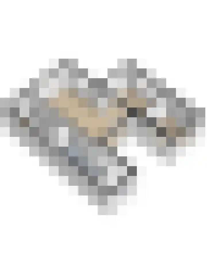 Marijkelaan 3 A Yerseke thumbnail 48