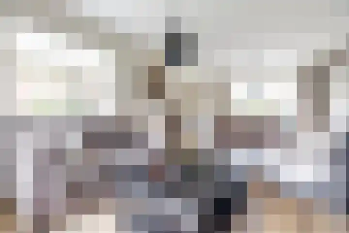 Marijkelaan 3 A Yerseke thumbnail 6
