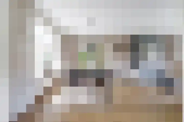 Marijkelaan 3 A Yerseke thumbnail 7