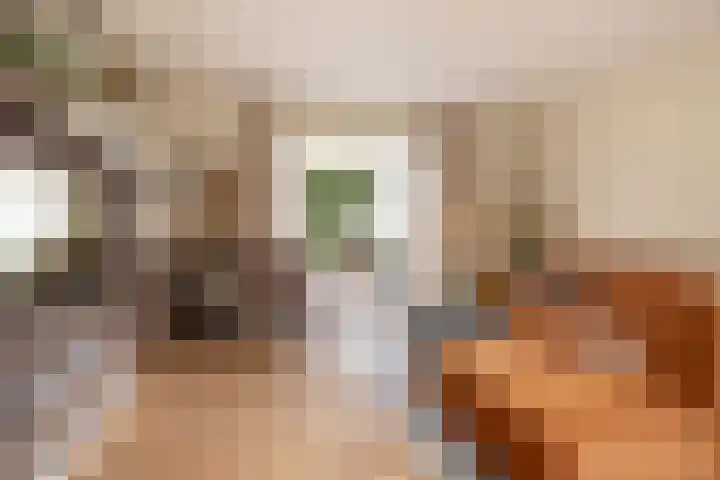 Marijkelaan 3 Vlijmen thumbnail 11