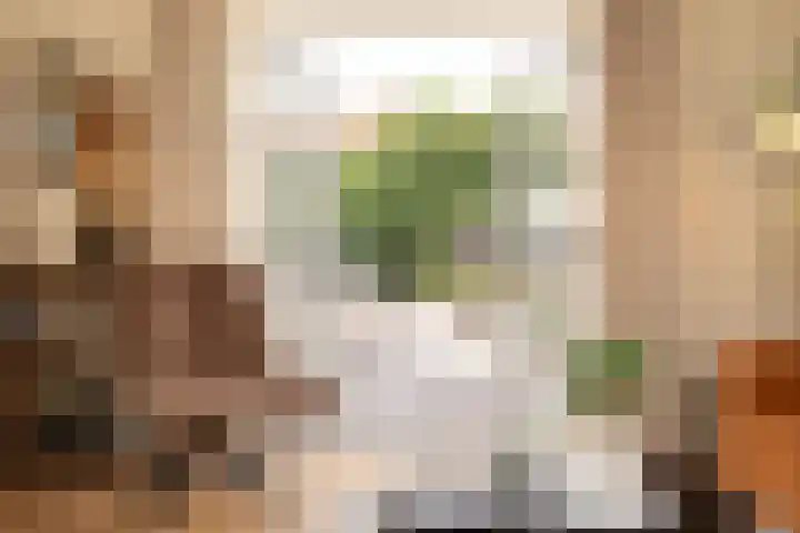 Marijkelaan 3 Vlijmen thumbnail 12