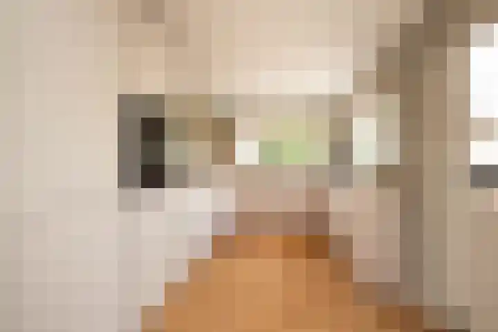 Marijkelaan 3 Vlijmen thumbnail 18