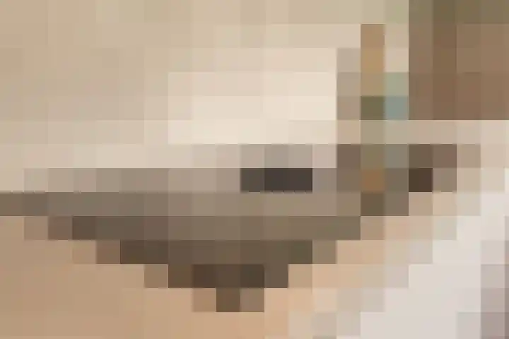 Marijkelaan 3 Vlijmen thumbnail 19