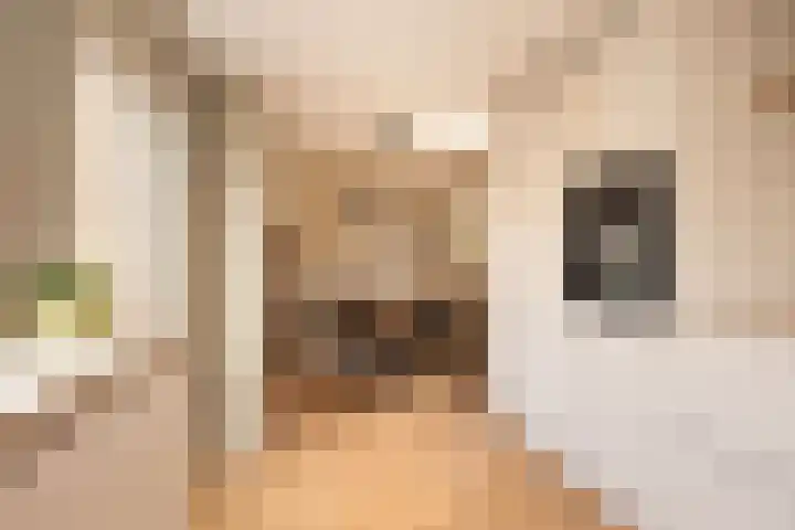 Marijkelaan 3 Vlijmen thumbnail 20